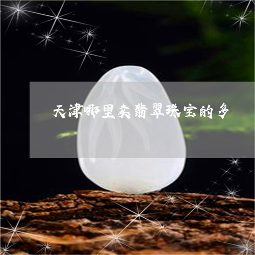 天津哪里卖翡翠珠宝的多/2023111731793