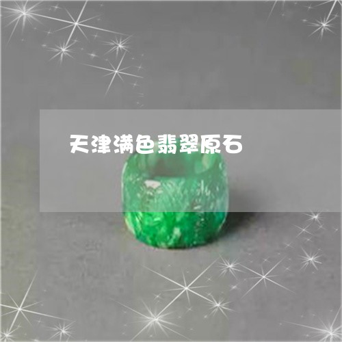 天津满色翡翠原石/2023112556160