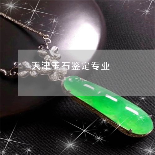 天津玉石鉴定专业/2023111654259