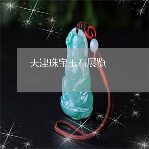 天津珠宝玉石展览/2023112405957