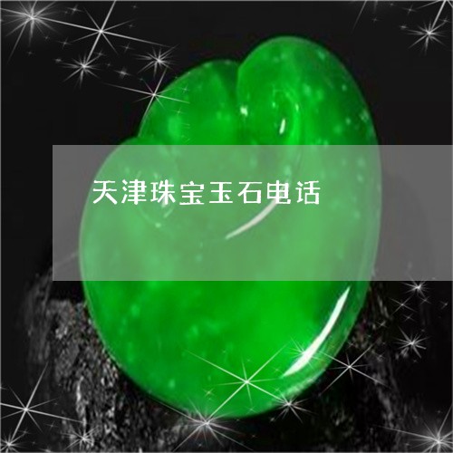 天津珠宝玉石电话/2023112480485