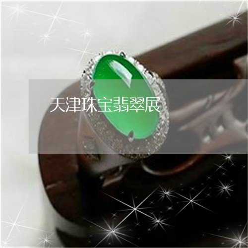 天津珠宝翡翠展/2023062511603