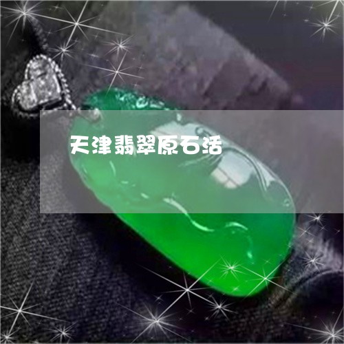 天津翡翠原石活/2023062539262