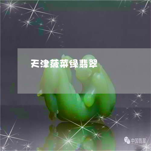 天津菠菜绿翡翠/2023062571844