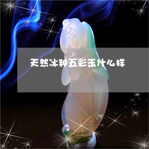 天然冰种五彩玉什么样/2023051117038