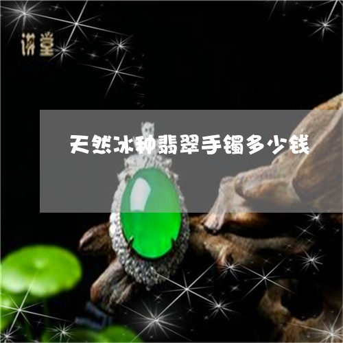 天然冰种翡翠手镯多少钱/2023110931838