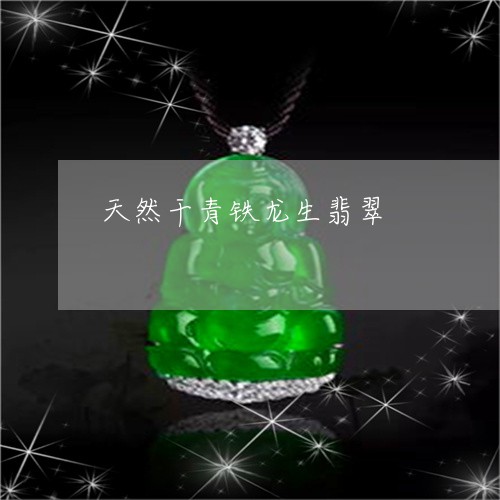 天然干青铁龙生翡翠/2023121893705