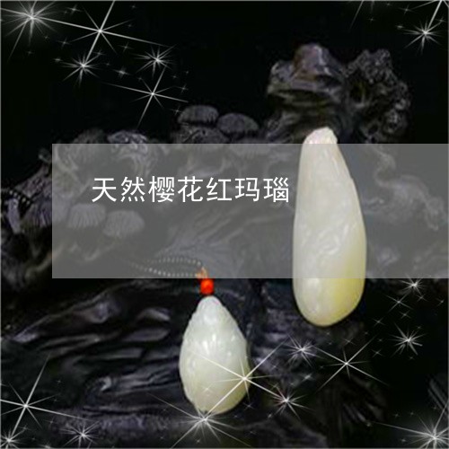 天然樱花红玛瑙/2023062504725