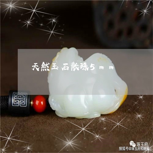 天然玉石散珠5mm/2023093093806