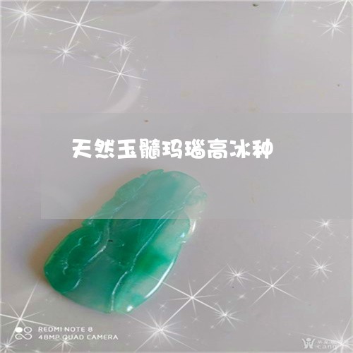 天然玉髓玛瑙高冰种/2023120659605