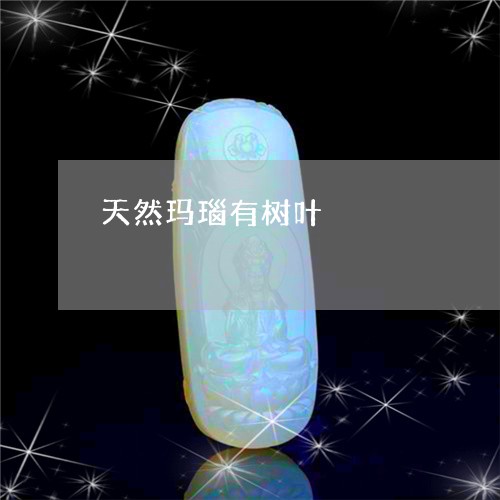 天然玛瑙有树叶/2023082686048