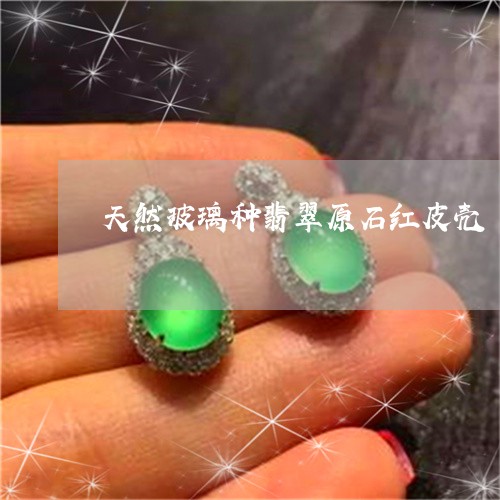 天然玻璃种翡翠原石红皮壳/2023080249350