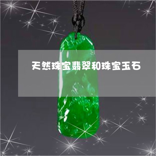 天然珠宝翡翠和珠宝玉石/2023110850795