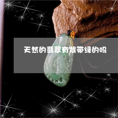 天然的翡翠有紫带绿的吗/2023110843614