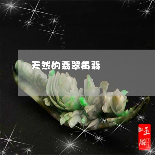 天然的翡翠黄翡/2023092949289