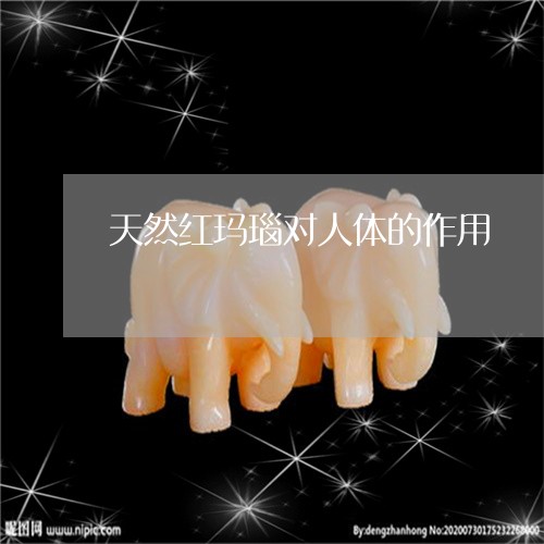 天然红玛瑙对人体的作用/2023110816949