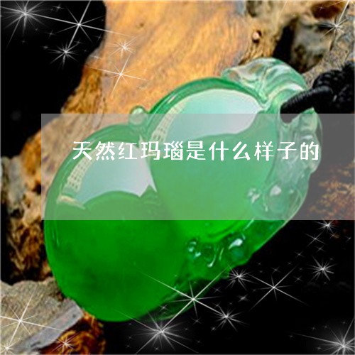 天然红玛瑙是什么样子的/2023110854047