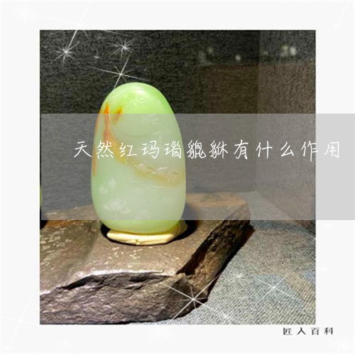 天然红玛瑙貔貅有什么作用/2023080223615