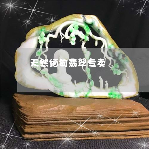 天然缅甸翡翠专卖/2023122277373