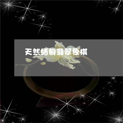 天然缅甸翡翠象棋/2023122295159