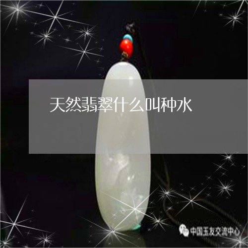 天然翡翠什么叫种水/2023032234826