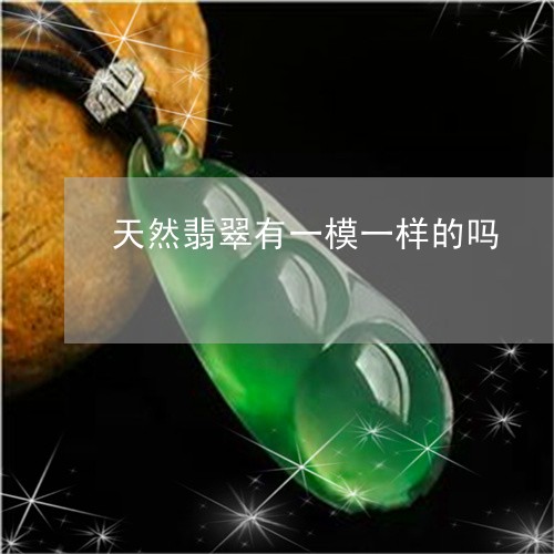 天然翡翠有一模一样的吗/2023110707150