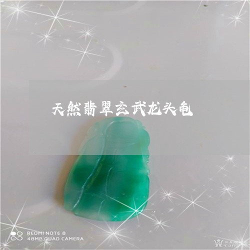 天然翡翠玄武龙头龟/2023120490624