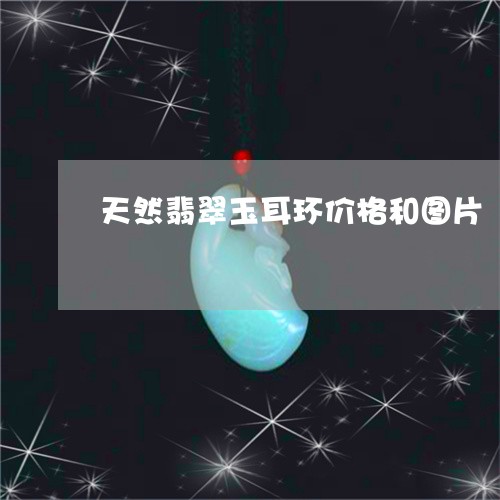 天然翡翠玉耳环价格和图片/2023092326138