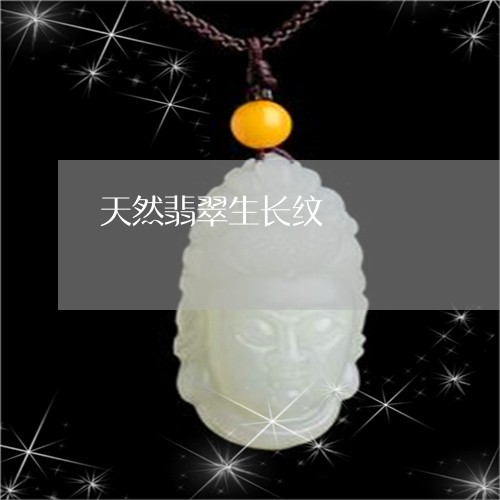 天然翡翠生长纹/2023062481401