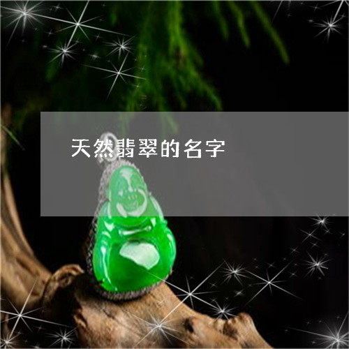 天然翡翠的名字/2023062403936