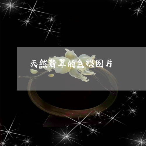 天然翡翠的色根图片/2023120440715