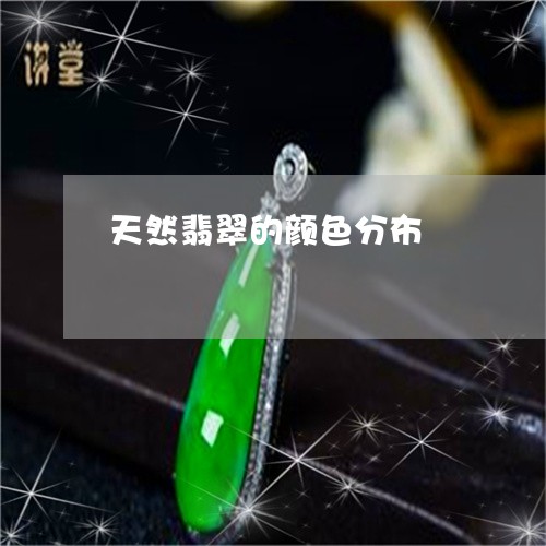 天然翡翠的颜色分布/2023082760573