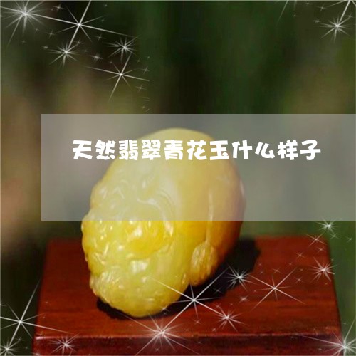 天然翡翠青花玉什么样子/2023110718381