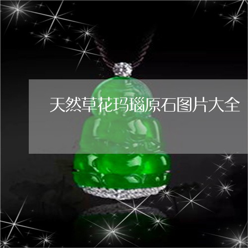 天然草花玛瑙原石图片大全/2023092328591