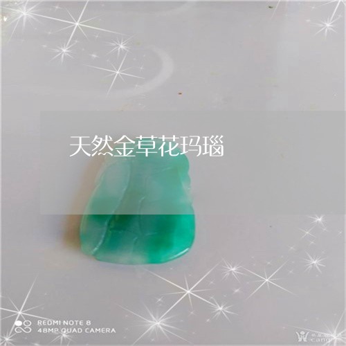 天然金草花玛瑙/2023062404635