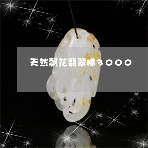 天然飘花翡翠佛3000/2023110704739