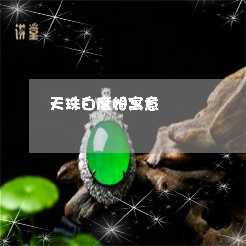 天珠白度姆寓意/2023042604917