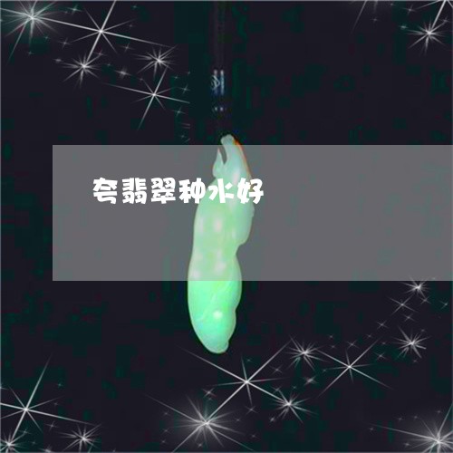 夸翡翠种水好/2023092917047