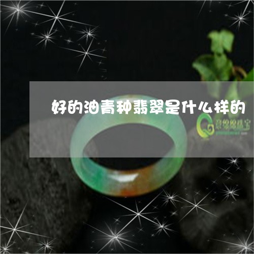 好的油青种翡翠是什么样的/2023092385717