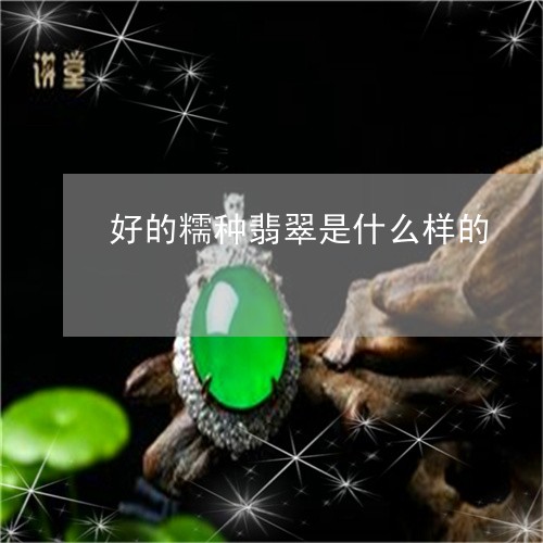 好的糯种翡翠是什么样的/2023091427359