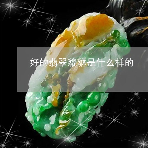 好的翡翠貔貅是什么样的/2023052408471