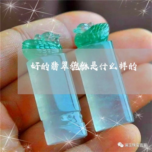 好的翡翠貔貅是什么样的/2023081484940