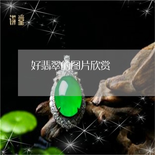 好翡翠的图片欣赏/2023122288303