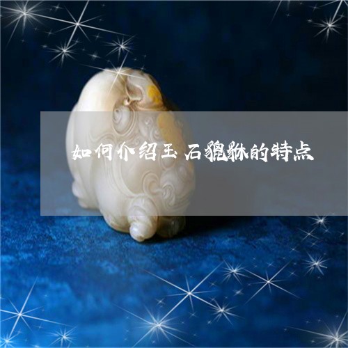 如何介绍玉石貔貅的特点/2023071313708