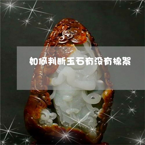 如何判断玉石有没有棉絮/2023091438272