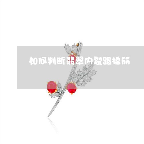 如何判断翡翠内裂跟棉筋/2023041511605