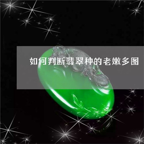 如何判断翡翠种的老嫩多图/2023080284035