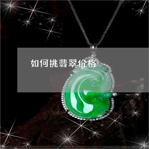 如何挑翡翠价格/2023082537268