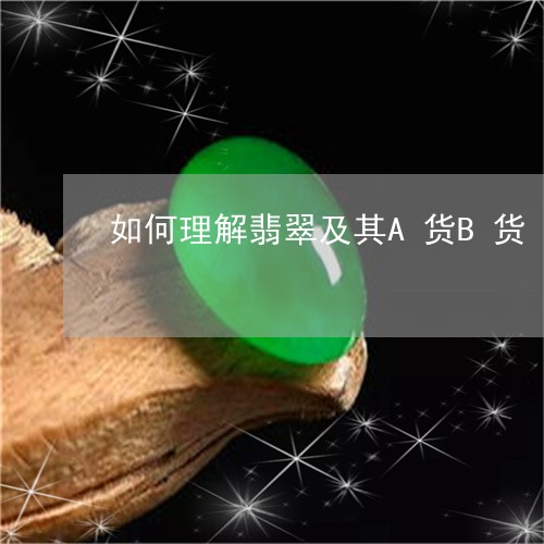 如何理解翡翠及其A货B货/2023080283057