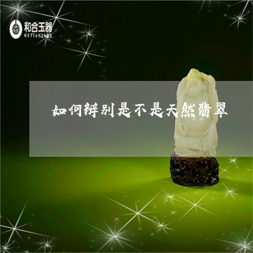 如何辨别是不是天然翡翠/2023081319614